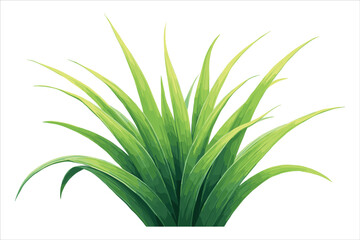 Grass Vector Clipart Collection