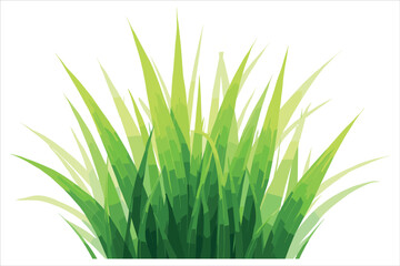 Fototapeta premium Grass Vector Clipart Collection