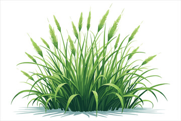 Grass Vector Clipart Collection
