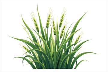 Grass Vector Clipart Collection