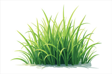 Grass Vector Clipart Collection