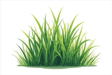 Grass Vector Clipart Collection