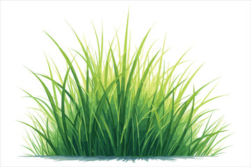 Grass Vector Clipart Collection