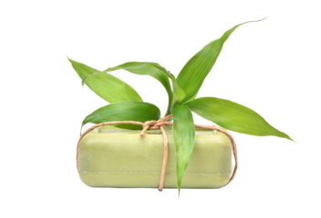 Soap with bamboo leaves isolated