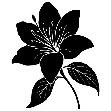 recommend clip art: black and white azalea flower
