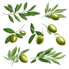 green olives and olive leaves isolated on transparent background