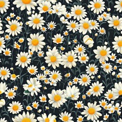 White Daisies Abundantly Bloom Against Dark Background