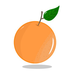 orange fruit illustration