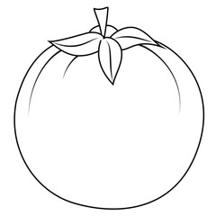 Cute cartoon hand drawn vector tomato coloring page.