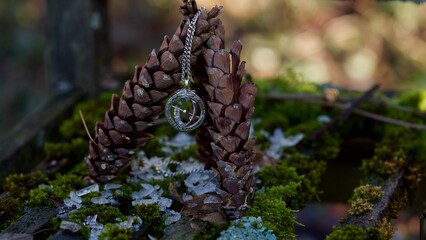 Eine kleine silberne Sonnenuhr hängt über Fichtenzapfen.