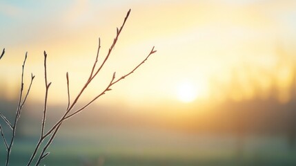 Fototapeta premium Serene Sunrise Over Frosty Landscape with Bare Branches Silhouetted Against a Warm Colorful Sky in Early Morning Light