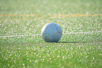 Soccer ball on vibrant green field illuminated by sunlight