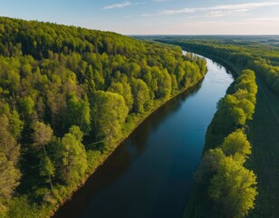 Fototapeta premium An aerial view showcases a beautiful river that is surrounded by lush trees