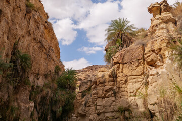 Wadi Bin Hammad eine steile Schlucht mit flachem warmen Wasser und üppiger Vegetation liegt etwas nördlich von Kerak und gut 2 Fahrstunden enfernt von Amman, Jordanien.