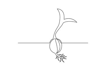 Continuous one line art drawing of plant growth processing outline vector illustration