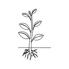 Continuous one line art drawing of plant growth processing outline vector illustration