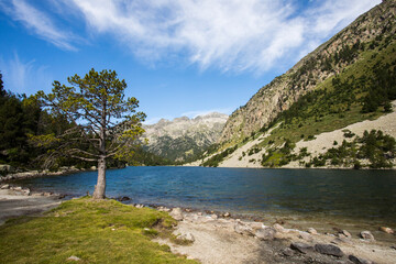 Summer landscape in Vall de Boi in Aiguestortes and Sant Maurici National Park, Spain