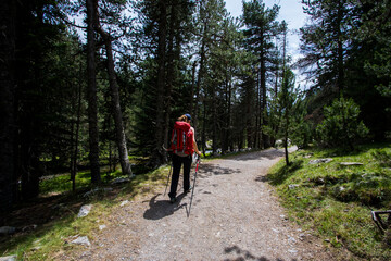 Obraz premium Young hiker woman in Vall de Boi, Aiguestortes and Sant Maurici National Park, Spain