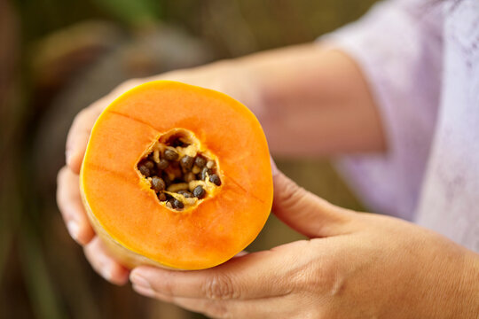 Cropped hand holding ripe papaya