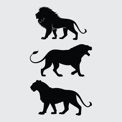  Deferent- lion- breed  image silhouette vector art and illustration