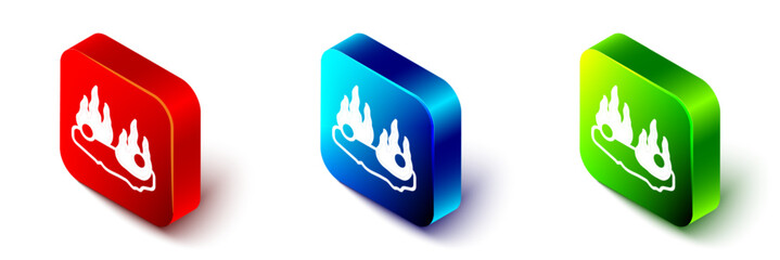 Isometric Burning car icon isolated on white background. Car on fire. Broken auto covered with fire and smoke. Red, blue and green square button. Vector