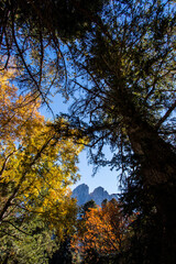 Fototapeta premium Autumn landscape in Aiguestortes and Sant Maurici National Park, Spain