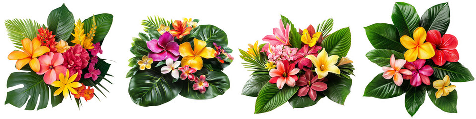 Collection set of tropical flowers and lush green leaves isolated on a transparent background