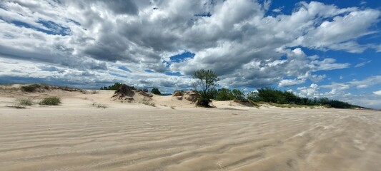 sand dunes and trees in arroio do sal , brazil