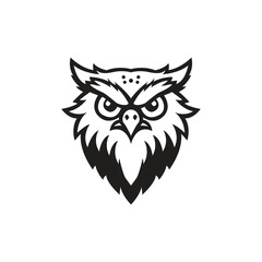 Owl Bird Mascot