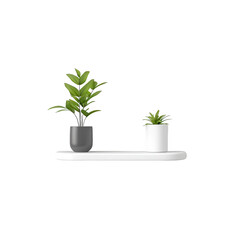 Stylish indoor plants in modern pots on a sleek shelf, enhancing home decor., isolated on a transparent background.