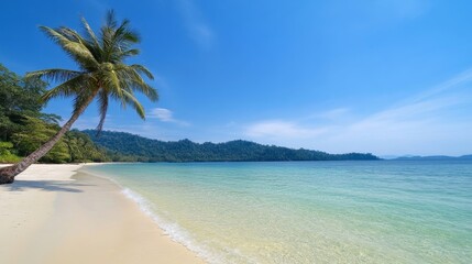 Fototapeta premium Tranquil tropical beach scene with crystal clear waters, lush palm trees, and a serene blue sky that creates a perfect paradise getaway for relaxation and enjoyment.