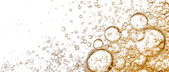 festive overlay of sparkling champagne bubbles creates lively and celebratory atmosphere, with golden hues and effervescent textures