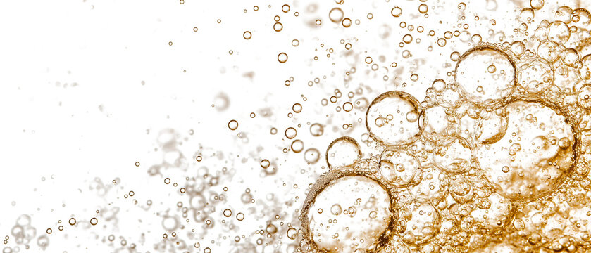 festive overlay of sparkling champagne bubbles creates lively and celebratory atmosphere, with golden hues and effervescent textures