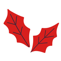 Red maple leaf