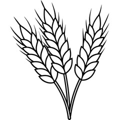 Minimalist Barley Grain Illustration
