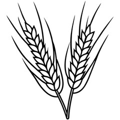 Minimalist Barley Grain Illustration