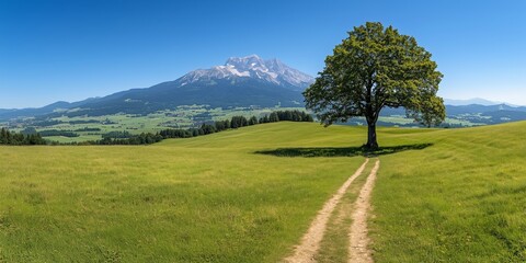 Obraz premium A serene dirt pathway winds through vibrant green fields under a clear blue sky, leading toward a majestic snow-capped mountain in the distance.