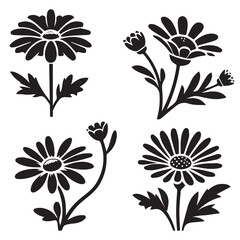 Set of wildflower silhouette icon, Botanical elements abstract design.eps 10.