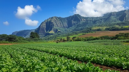 Fototapeta premium Rows of lush green lettuce thrive in the foreground, with a breathtaking mountain range rising behind them, perfectly blending natural beauty and cultivation.