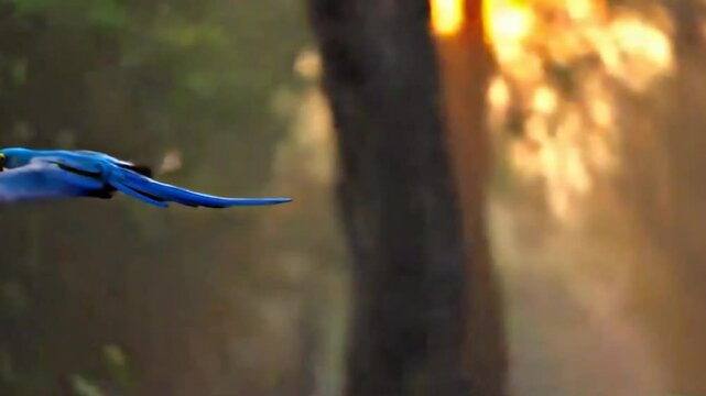 Blue Macaw: The Majesty of the Amazon Rainforest Canopy
