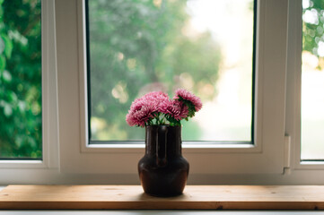 pink asters in a jug on the window