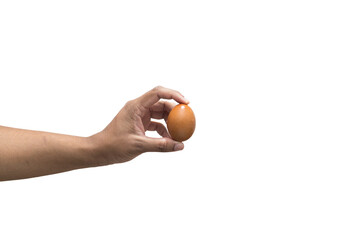 hand holding an egg