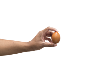 hand holding an egg