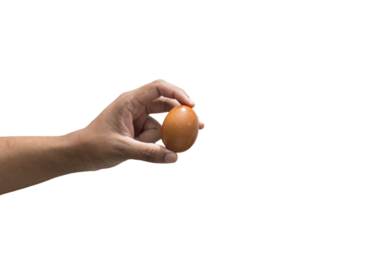 hand holding an egg