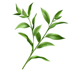 Fototapeta premium Green Leafy Branch Illustration – Botanical Design Element