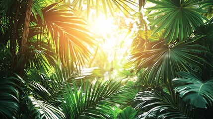 Lush tropical foliage with bright sunlight shining through dense green leaves in jungle
