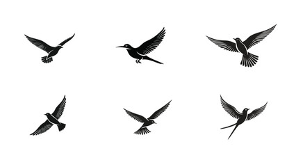 Fototapeta premium Silhouette of a bird flying free