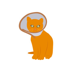 Cat Collar Cone, Veterinary Flat Vector Illustration