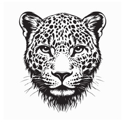 Leopards Head Vector. Black and white Leopard Head vector illustration.