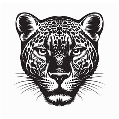 Leopards Head Vector. Black and white Leopard Head vector illustration.